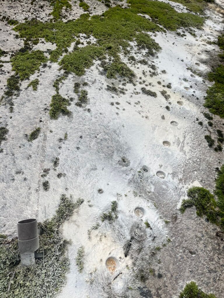Campagna di rilevamento