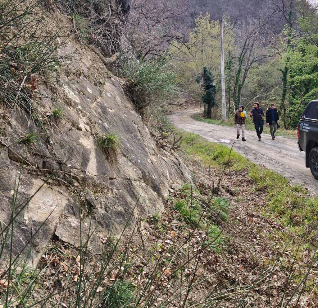 Campagna di rilevamento
