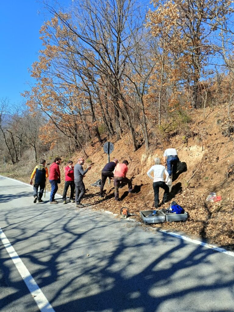 Campagna di rilevamento