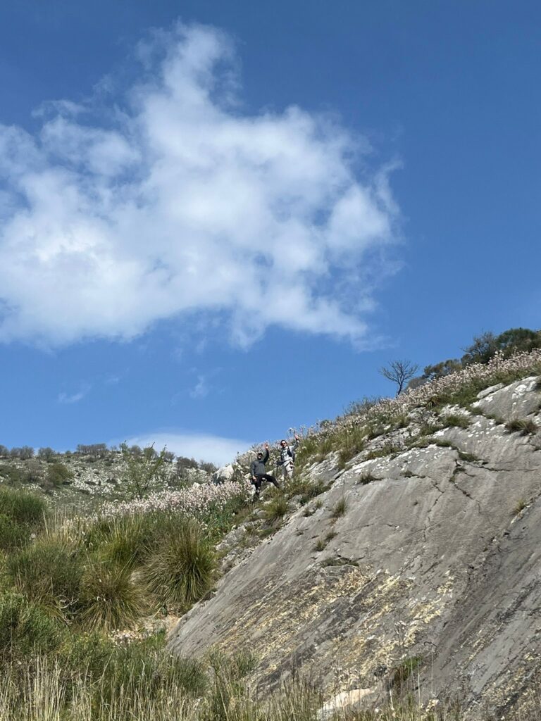 Campagna di rilevamento