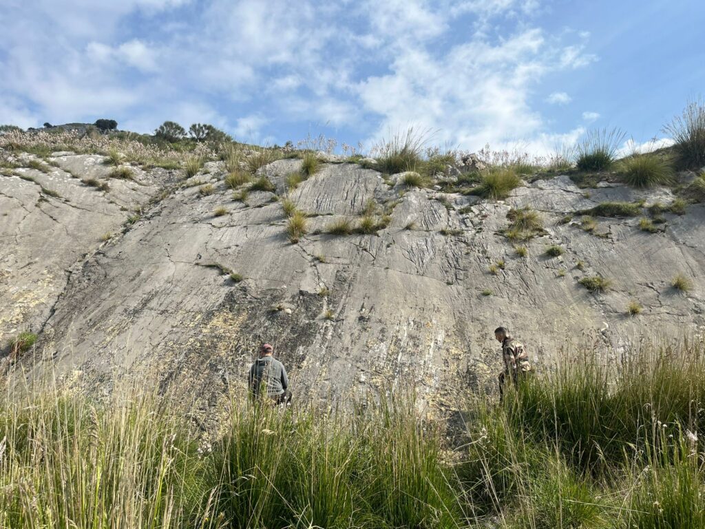 Campagna di rilevamento